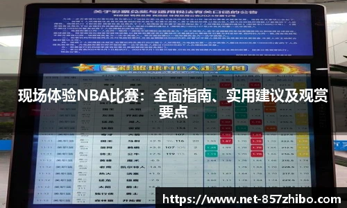 现场体验NBA比赛：全面指南、实用建议及观赏要点