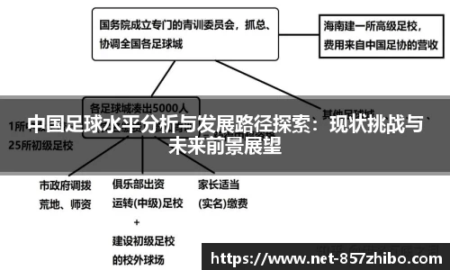 中国足球水平分析与发展路径探索：现状挑战与未来前景展望