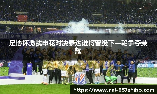 足协杯激战申花对决泰达谁将晋级下一轮争夺荣耀